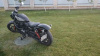 Harley-Davidson Nightster RH975, 2022 г.