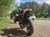 Racer Caiman, 2026 г.