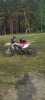 Regulmoto CR-Z 300, 2023 г.