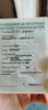 Regulmoto Eagle, 2024 г.