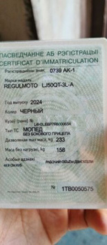 Regulmoto Eagle, 2024 г.