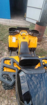 Motoland 200 Wild Track, 2024 г.