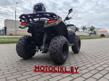 Kayo AU300 Carb, 2026 г.