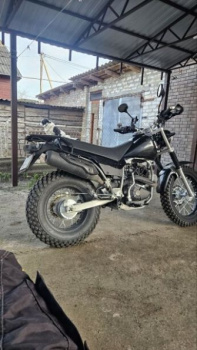 Эксклюзив Редкая модель SCOUTW250 Pr300, 2025 г.