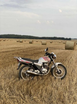 Pioneer XF, 2006 г.
