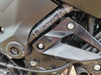 Kawasaki Z, 2022 г.