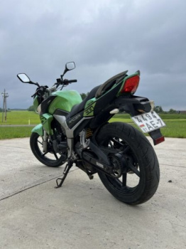 Racer Fighter, 2019 г.