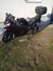 Triumph Sprint, 2005 г.