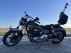 Harley-Davidson Dyna Low rider FXDL, 1993 г.