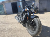 Indian Scout, 2019 г.