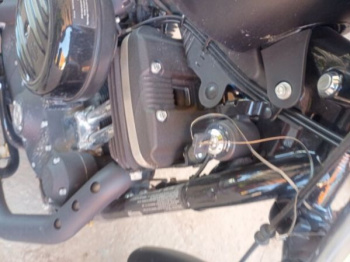Harley-Davidson Sportster 883 Iron, 2020 г.