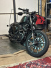 Harley-Davidson Sportster, 2019 г.
