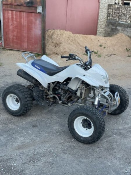 Irbis 250s, 2019 г.