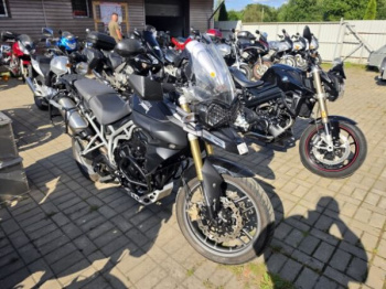 Triumph Tiger, 2010 г.