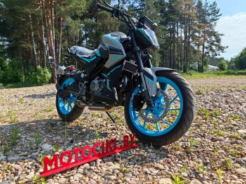 Motoland NK 300 STREET, 2026 г.