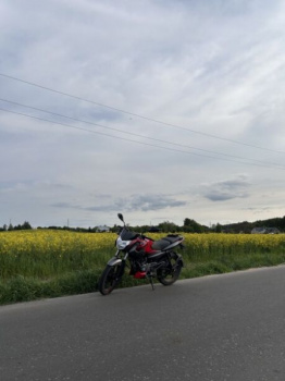 BAJAJ Pulsar LS125, 2024 г.
