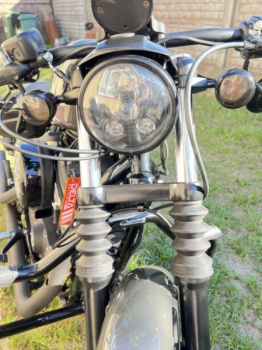 Harley-Davidson Sportster 883 iron, 2019 г.