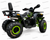 Motoland Wild Track 200, 2026 г.