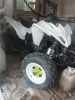Mikilon Rapide Mikilon,Pentora, motoland dakar 250, 2026 г.