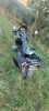 BMW R GS ADVENTURE, 1994 г.