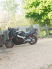Honda VFR, 2001 г.
