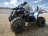 Motoland Wild Track 200 LUX, 2025 г.