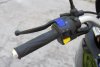 Racer Ranger RC300-GY8, 2025 г.