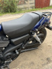 Harley-Davidson Street SG 750, 2016 г.