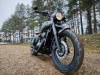 Jawa 350 CL Perak, 2024 г.