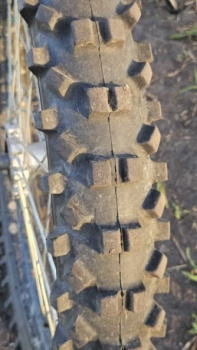Regulmoto Athlete, 2021 г.