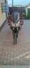 Suzuki DL 650, 2005 г.
