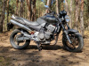 Honda CB 900F (Hornet), 2003 г.