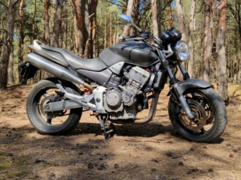 Honda CB 900F (Hornet), 2003 г.
