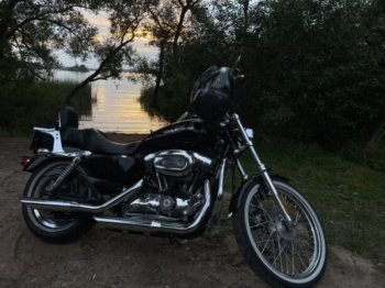 Harley-Davidson Sportster XL1200C Custom (injector), 2006 г.