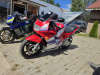 Honda CBR, 1994 г.