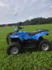 Irbis ATV200, 2022 г.