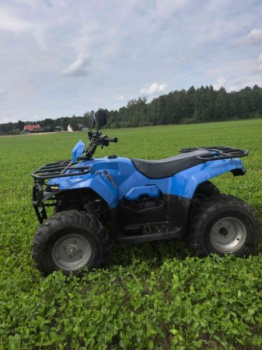 Irbis ATV200, 2022 г.