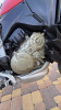 Ducati Multistrada 4 VS, 2022 г.
