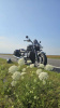 Triumph Rocket III Roadster, 2011 г.