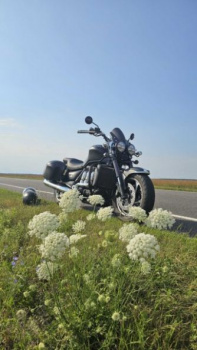 Triumph Rocket III Roadster, 2011 г.