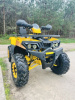 Motoland Wild Track LUX 200, 2026 г.