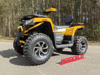 Motoland Wild Track X Plus (VOX250), 2025 г.