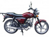 Racer RC 110N Trophy, 2026 г.