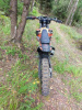 Avantis Enduro 300 Pro/EFI, 2023 г.
