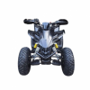 ATV Storm Panther SPORTY 250, 2025 г.