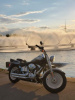Harley-Davidson Fat Boy 100th Anniversary, 2003 г.