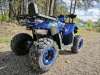 Motoland Wild Track 200 LUX, 2025 г.