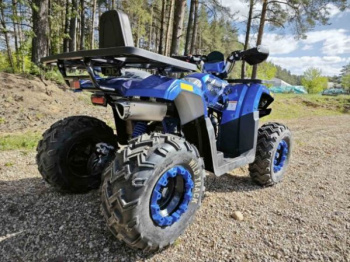 Motoland Wild Track 200 LUX, 2025 г.