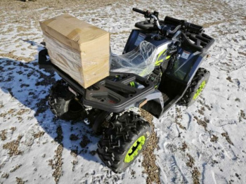 Motoland Wild Track 200 X WINCH, 2025 г.