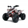 Motoland Coyote 125CC, 2023 г.